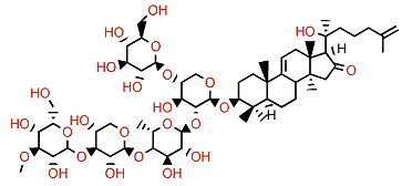 Holotoxin F